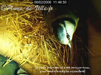 Premi&egrave;res visites