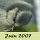 Juin 2007