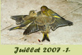 Juillet 2007 1