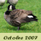 Octobre 2007