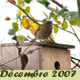 D&eacute;cembre 2007