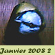 Janvier 2008 -2-