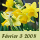 F&eacute;vrier -3- 2008