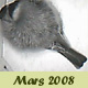 Fev Mars 2008