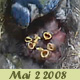 Mai -2- 2008