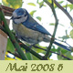 Mai -5- 2008