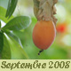 Septembre 2008