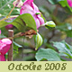 Octobre 2008