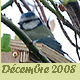 D&eacute;cembre 2008