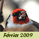 F&eacute;vrier 2009