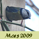 Mars 2009