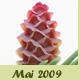 Mai 2009