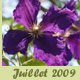 Juillet 2009