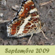 Septembre 2009