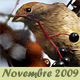 Novembre 2009