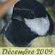 D&eacute;cembre 2009