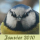 Janvier 2010