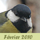 F&eacute;vrier 2010 -2-