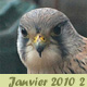 Janvier 2010 -2-