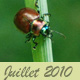 Juillet 2010 