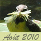 Ao&ucirc;t 2010 