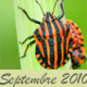 Septembre 2010 