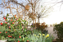 Le nichoir et la terrasse Le nichoir et la terrasse