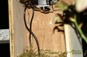 Int&eacute;rieur nid