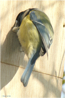 A l'ext&eacute;rieur