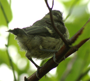 Num&eacute;ro 2 dehors