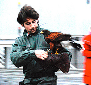 Pose &eacute;metteur