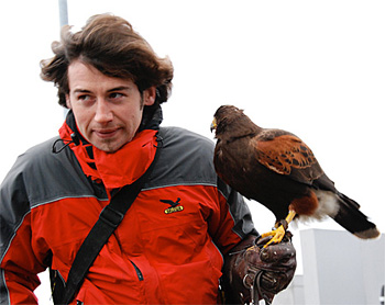 Le fauconnier et sa buse